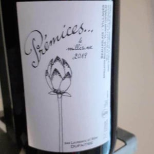 Domaine de Botheland - Rémi Dufaitre & Laurence Liatard - Prémices