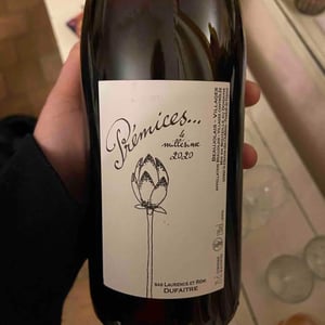 Domaine de Botheland - Rémi Dufaitre & Laurence Liatard - Prémices
