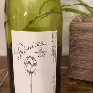 Domaine de Botheland - Rémi Dufaitre & Laurence Liatard - Prémices