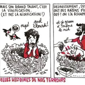 Premier Degré Les Belles Histoires de Nos Terroirs - Domaine des 4 Pierres - edouard-fortin