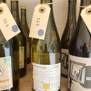 Premier Pas - Domaine Jean-François Essler - Jean-François Essler -2022