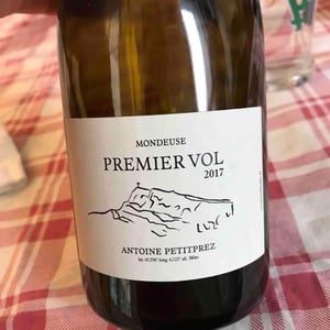 Premier Vol - Uliz - Antoine Petitprez 