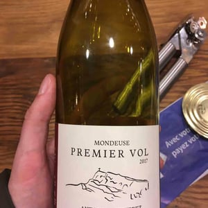 Premier Vol - Uliz - Antoine Petitprez 
