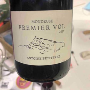 Premier Vol - Uliz - Antoine Petitprez 