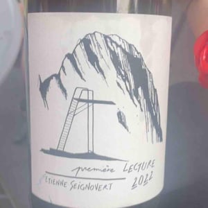 Première Lecture - Domaine Etienne Seignovert - Etienne Seignovert