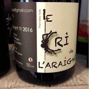 Première Toile - Le Cri de L'Araignée - olivier-trombetta