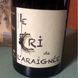 Première Toile - Le Cri de L'Araignée - olivier-trombetta