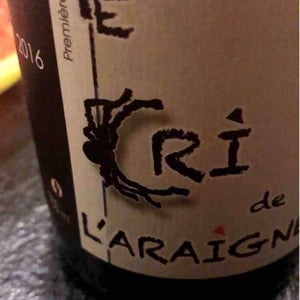 Le Cri de L'Araignée - Olivier Trombetta - Première Toile