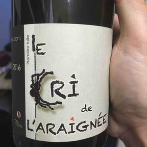 Première Toile - Le Cri de L'Araignée - olivier-trombetta