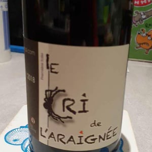Le Cri de L'Araignée - Olivier Trombetta - Première Toile