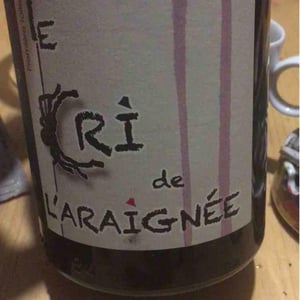 Première Toile - Le Cri de L'Araignée - olivier-trombetta