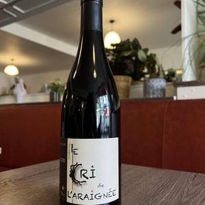 Première Toile - Le Cri de L'Araignée - olivier-trombetta