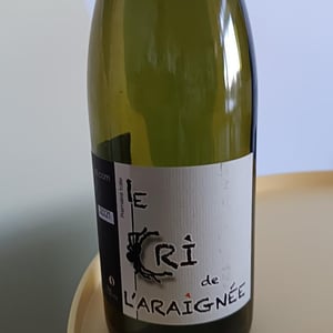 Première Toile - Le Cri de L'Araignée - Olivier Trombetta 