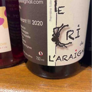 Première Toile - Le Cri de L'Araignée - olivier-trombetta