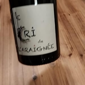 Première Toile - Le Cri de L'Araignée - Olivier Trombetta 