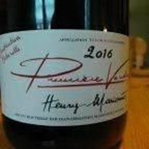 Première vendange - Domaine Charmoise - jean-sebastien-marionnet