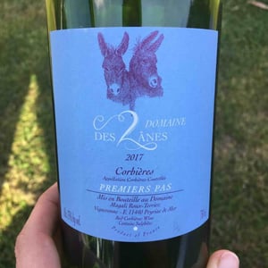 Premiers Pas - Domaine des 2 Ânes - magali-roux