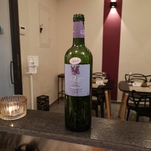 Premiers Pas - Domaine des 2 Ânes - Magali Roux 