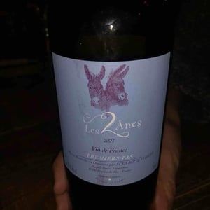 Premiers Pas - Domaine des 2 Ânes - Magali Roux 