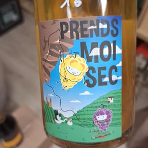 Prends Moi Sec - Domaine Vincent Stoeffler - vincent-adrien-stoeffler -2021