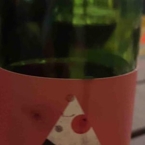 Presqu'ile Vineyard Gamay - Outward Wines - Natalie Siddique & Ryan Pace 