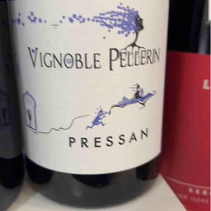 Pressan - Vignoble Pellerin - jean-christophe-baptiste-lucien-pellerin