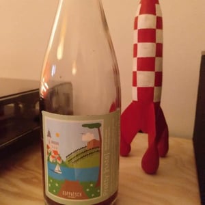 Weingut Koppitsch - Maria & Alex Koppitsch - Pretty nuts