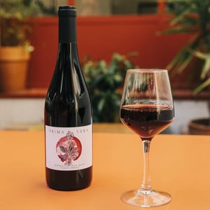 Prima Vera - Domaine des Buis - pauline-broqua
