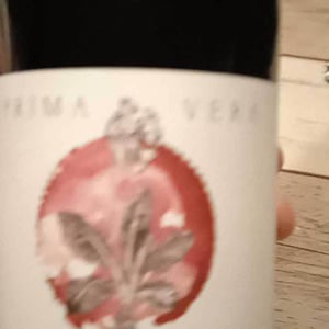 Prima Vera - Domaine des Buis - pauline-broqua