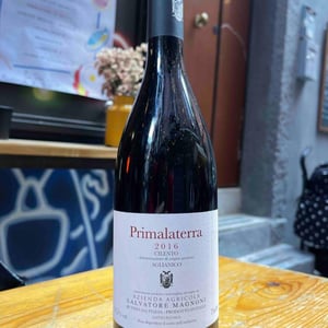 Primalaterra  Cilento Aglianico Dop - Azienda Agricola Salvatore Magnoni - Salvatore Magnoni 