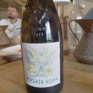 Primavera - I Vigneri - salvo-foti -2021