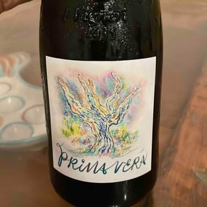 Primavera - I Vigneri - salvo-foti -2021