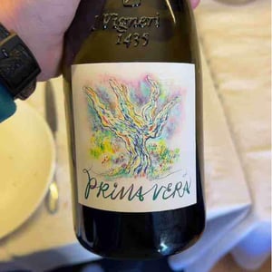 Primavera - I Vigneri - Salvo Foti -2021