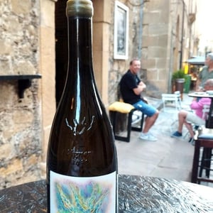 Primavera - I Vigneri - salvo-foti -2021