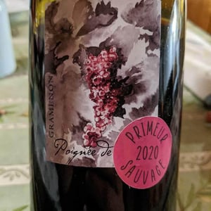 Primeur Sauvage - Domaine Gramenon - michele-aubery-laurent-maxime-francois-laurent