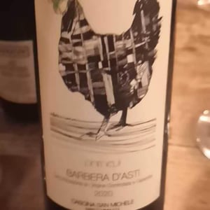 PRIMEVI’ - Cascina San Michele - marco-minnucci