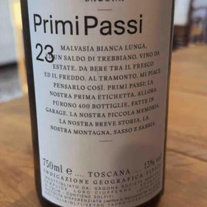 Primi Passi - Sagona - daniele-corrotti