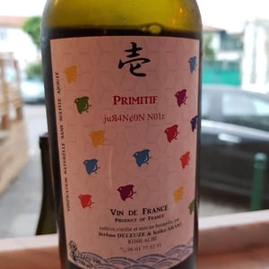 Primitif - Keiko & jérôme - keiko-araki-et-jerome-deleuze