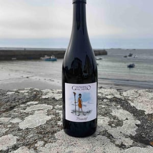 Primitif - Domaine Giachino - frederic-david-clement-giachino