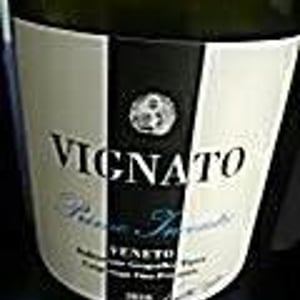 Davide Vignato Azienda Agricola - Davide Vignato - Primo Incontro