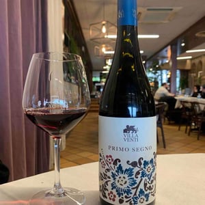 Primo Segno - Villa Venti - Mauro Giardini 