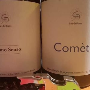 Clos des Grillons - Nicolas Renaud - Primo Senso Rouge
