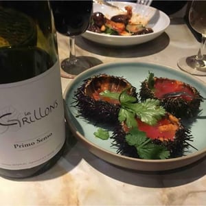 Primo Senso Rouge - Clos des Grillons - Nicolas Renaud 