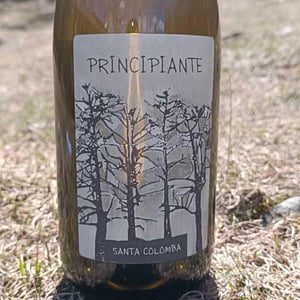 Principiante - Azienda Agricola Santa Colomba - Marco Dani & Gianfranco Mistrorigo 
