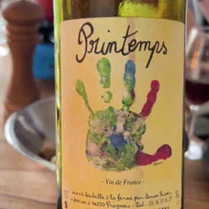 Printemps - Simon Busser - Simon Busser 