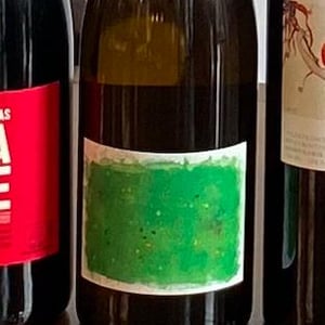Printemps - Domaine Passe Pont - david-landron -2022
