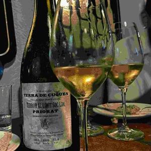 Priorat - "Terra de Cuques" - Blanc - Terroir Al Limit - Dominik Huber and Eben Sadie 