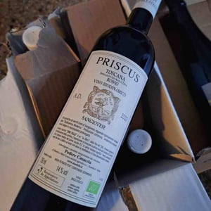 Priscus - Podere Casaccia Sine Felle - roberto-moretti