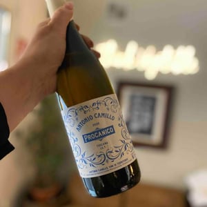 Procanico - Vini Di Territorio - antonio-camillo