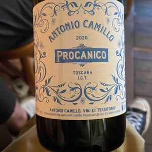 Procanico - Vini Di Territorio - Antonio Camillo -2020